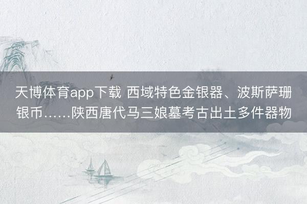 天博体育app下载 西域特色金银器、波斯萨珊银币……陕西唐代马三娘墓考古出土多件器物