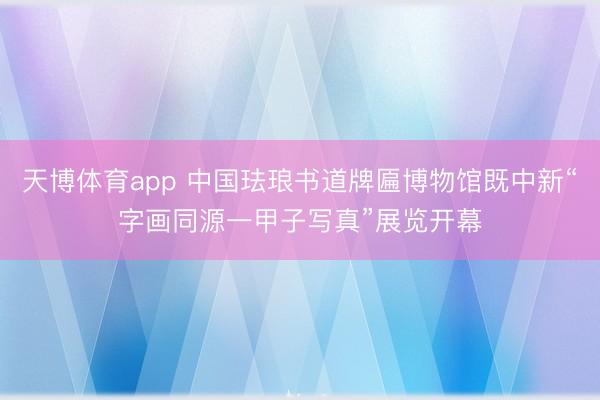 天博体育app 中国珐琅书道牌匾博物馆既中新“字画同源一甲子写真”展览开幕