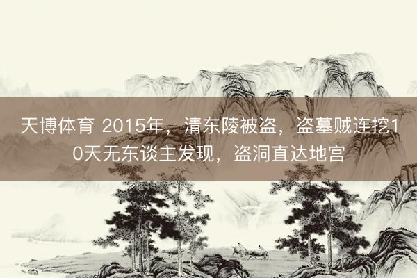 天博体育 2015年，清东陵被盗，盗墓贼连挖10天无东谈主发现，盗洞直达地宫