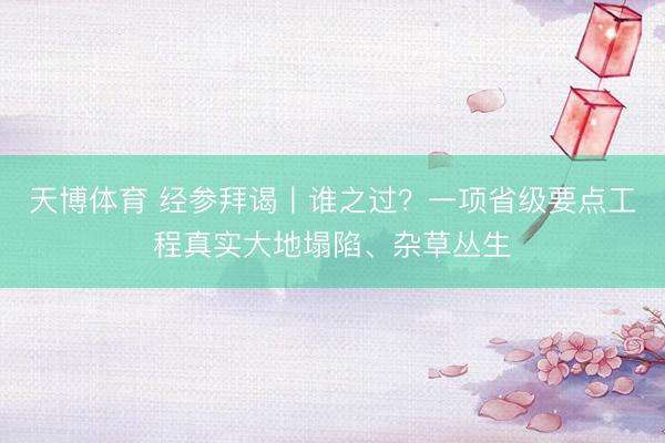 天博体育 经参拜谒丨谁之过？一项省级要点工程真实大地塌陷、杂草丛生