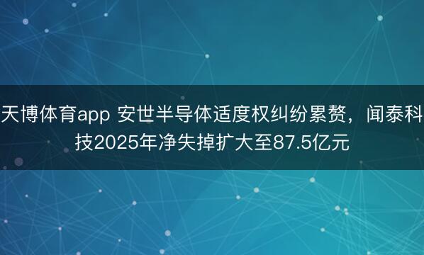 天博体育app 安世半导体适度权纠纷累赘，闻泰科技2025年净失掉扩大至87.5亿元