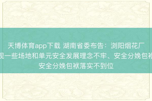 天博体育app下载 湖南省委布告：浏阳烟花厂爆炸事故表现一些场地和单元安全发展理念不牢、安全分娩包袱落实不到位